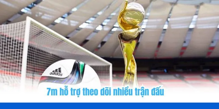FAQ - Tổng hợp các câu hỏi thường gặp về 7m
