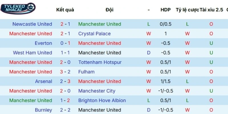 Dấu ấn thi đấu của Manchester United