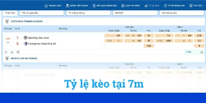 Tỷ lệ kèo bóng đá 7m được cung cấp đầy đủ
